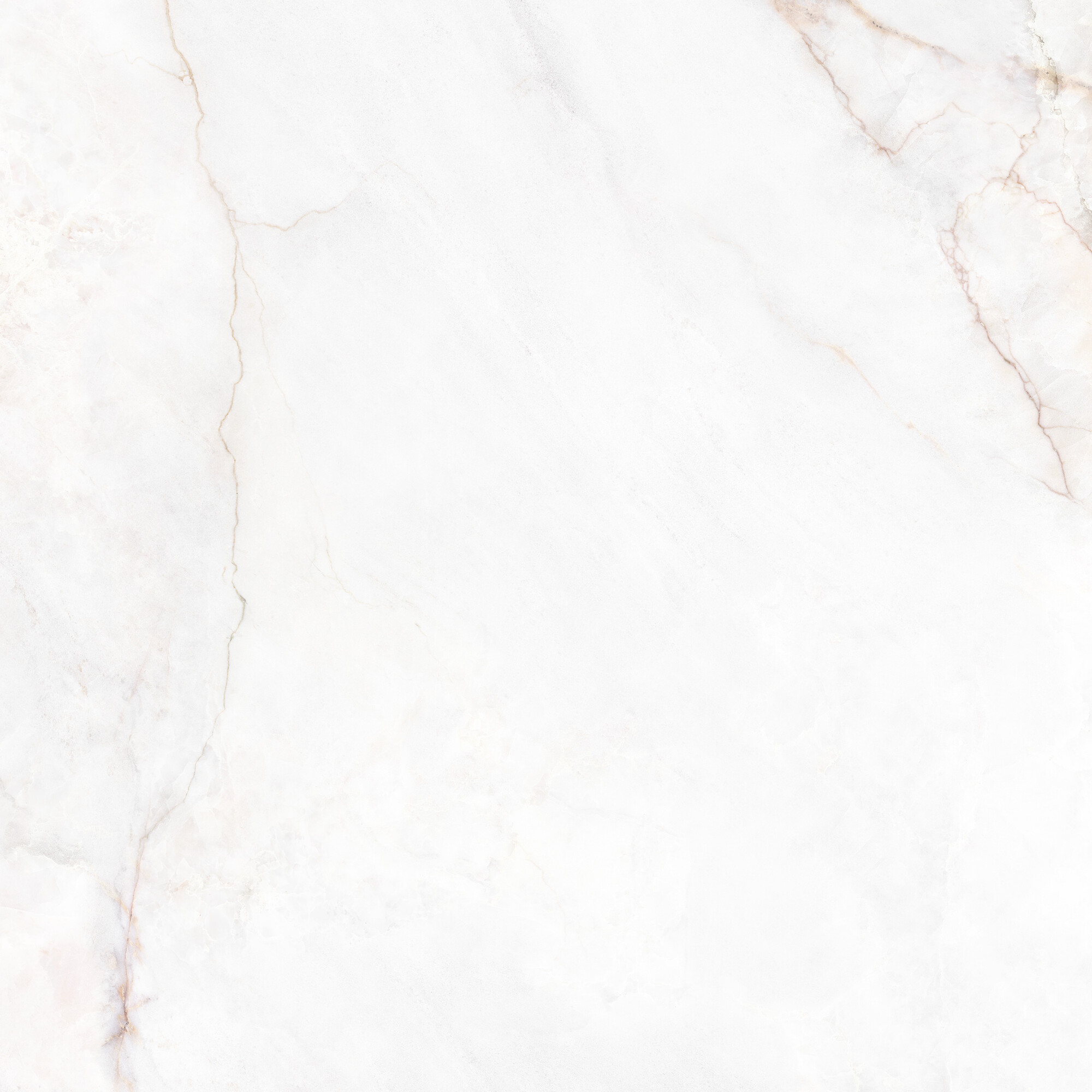 41431 На пол Museum Dahlia White SP/100X100X0.8/R 100x100 - фото 12