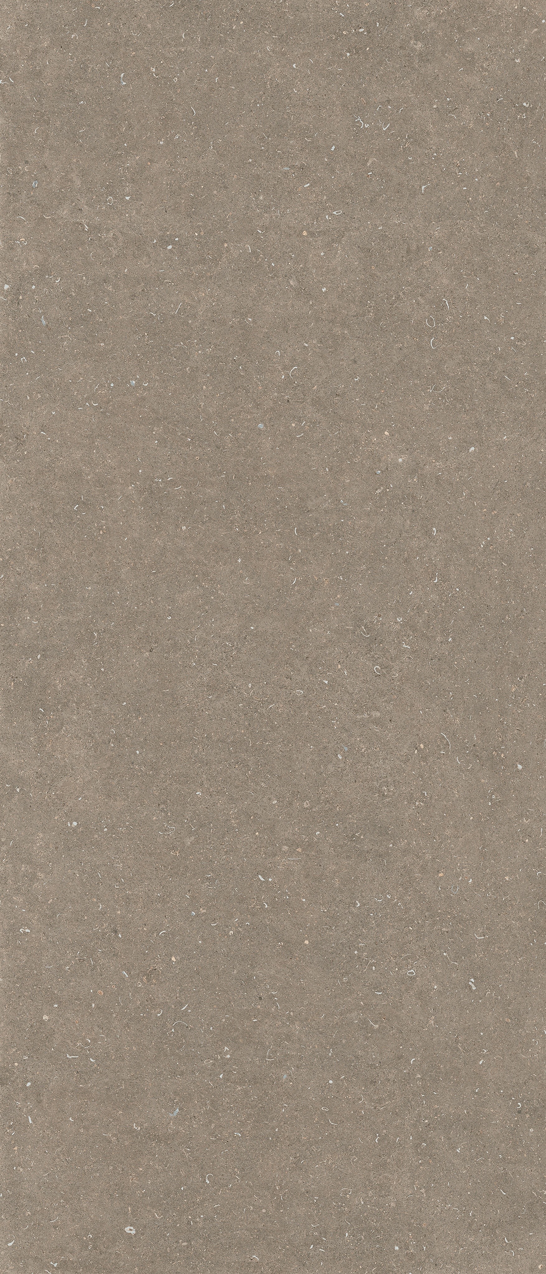 785572 На пол Rinascenza Arena Pietra Matte 6mm 120x280 - фото 2