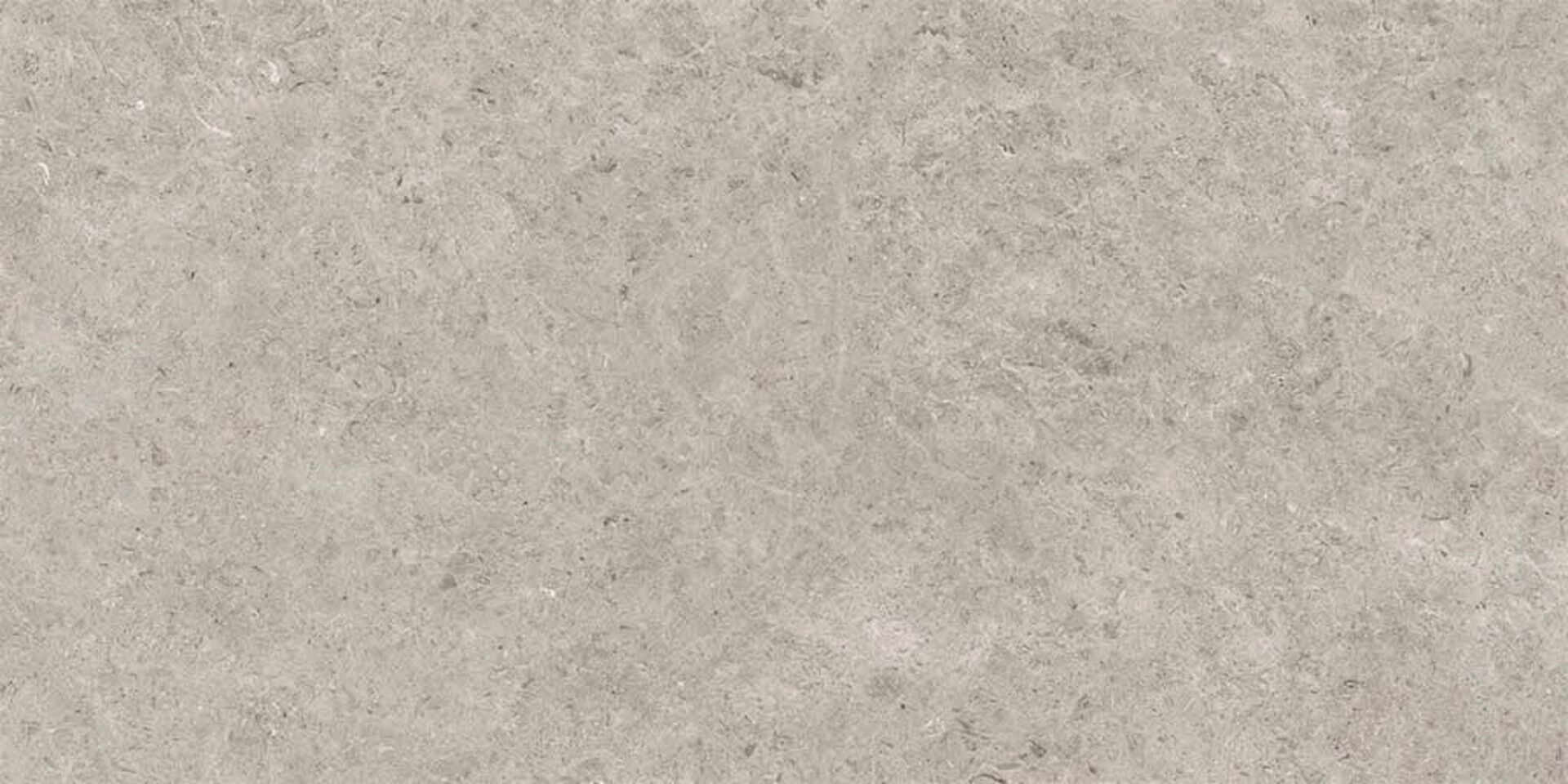 На пол Seashell Natural R10 Carving 60x120