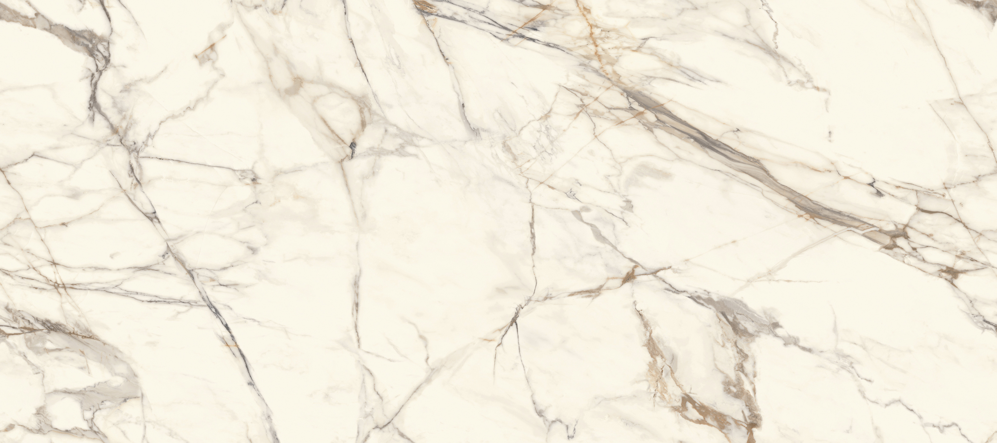 100332619 На стену Calacata Gold Polished 120x270 - фото 4