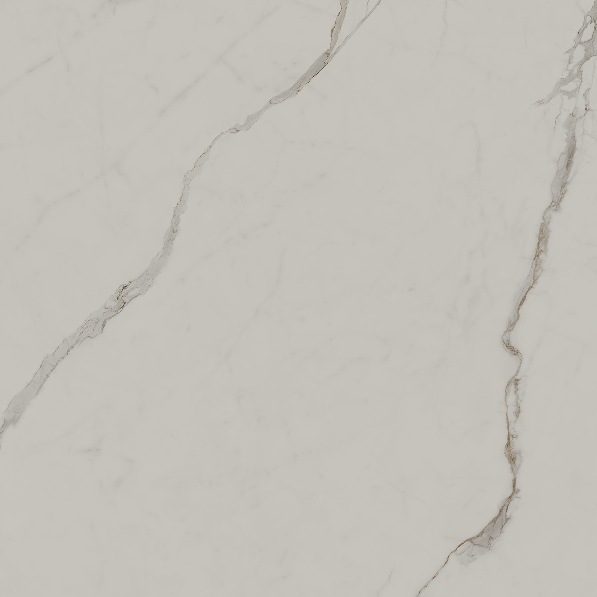 SG850090R На пол Монте Тиберио Бежевый светлый матовый обрезной 80x80x0.9 - фото 5