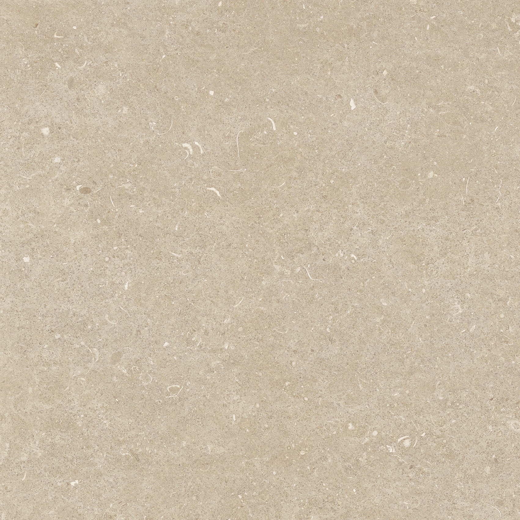 785497 На пол Rinascenza Arena Conchiglia Grip 60x60 - фото 2