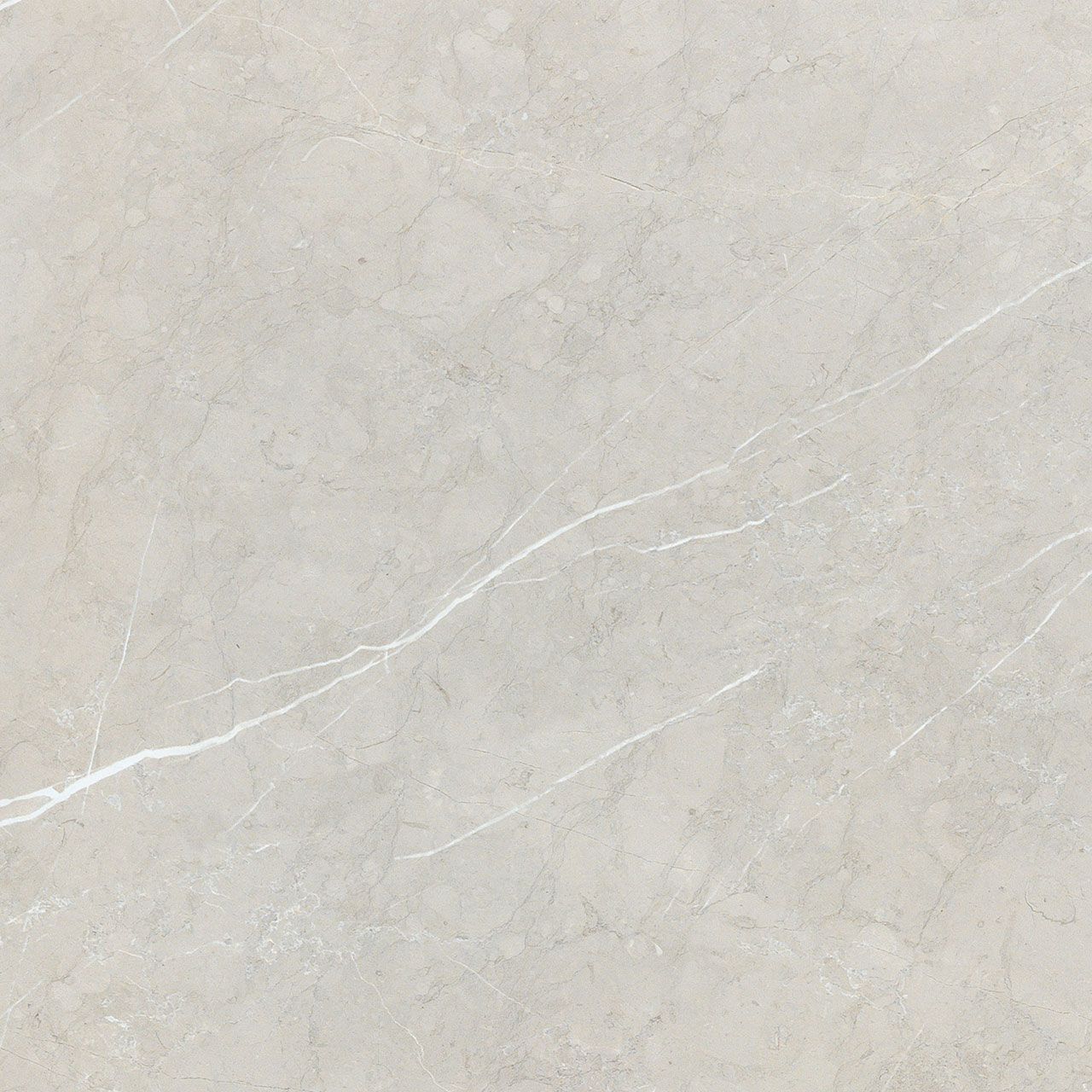 BB6NTT9101P На пол Bright And Shiny BB6NTT9101P - фото 8