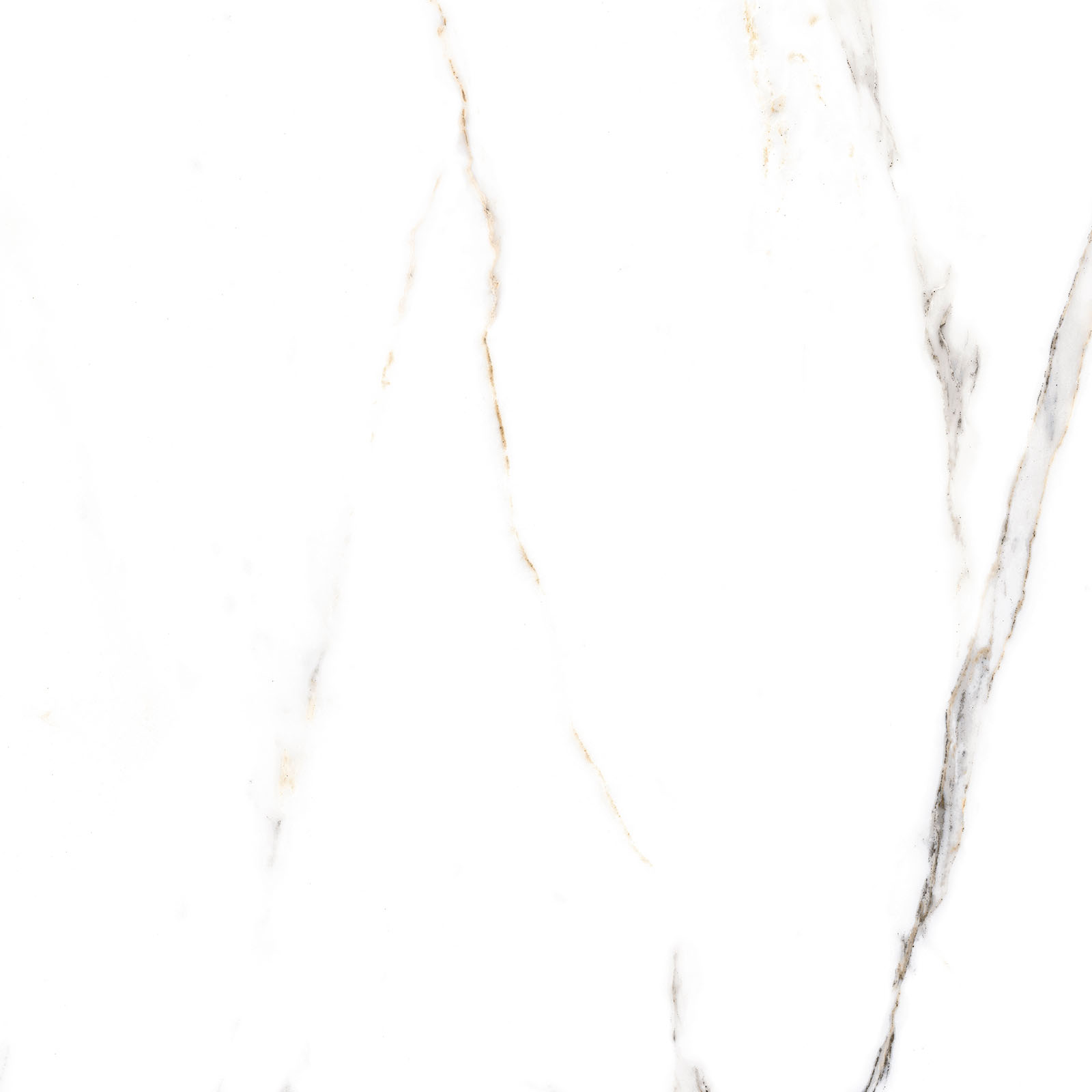 GFU6060ECL04R На пол Extra Calacatta 04R матовый 600x600x9 - фото 4