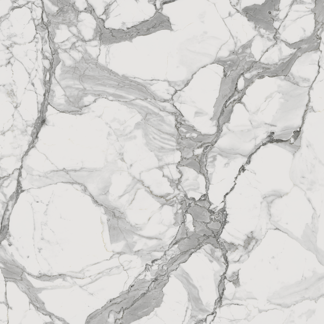 610010001678 На пол Charme Evo Floor Project Статуарио 80 Натуральный и Реттифицированный - фото 4