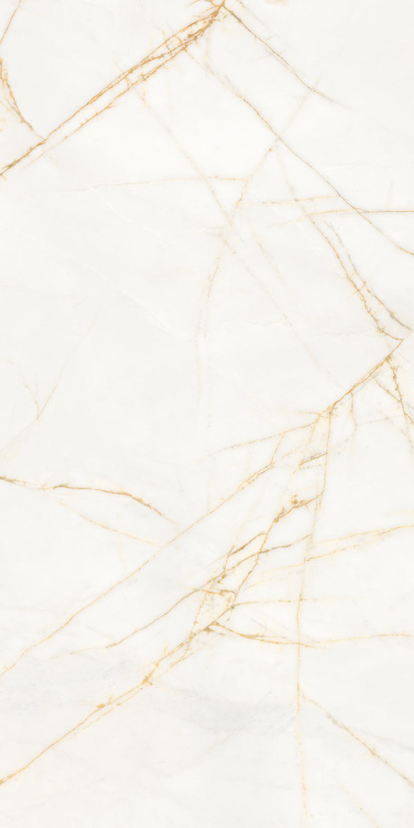 PF60017518 На пол Supreme Hedonism Golden Spider Nat R 60x120 - фото 12