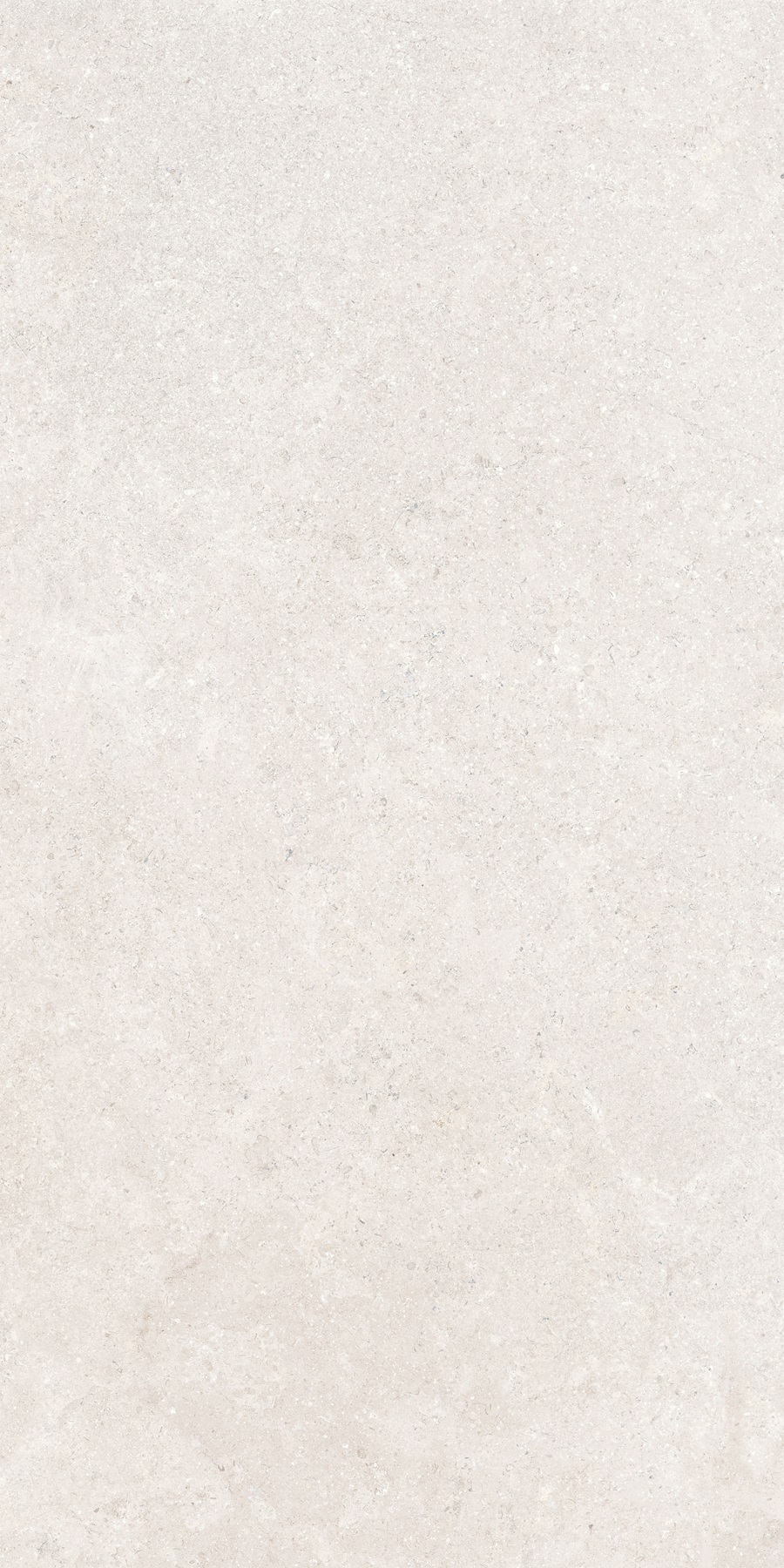 K948597R0001VTER На пол SandStone Белый Матовый R10A Ректификат 60х120 - фото 6