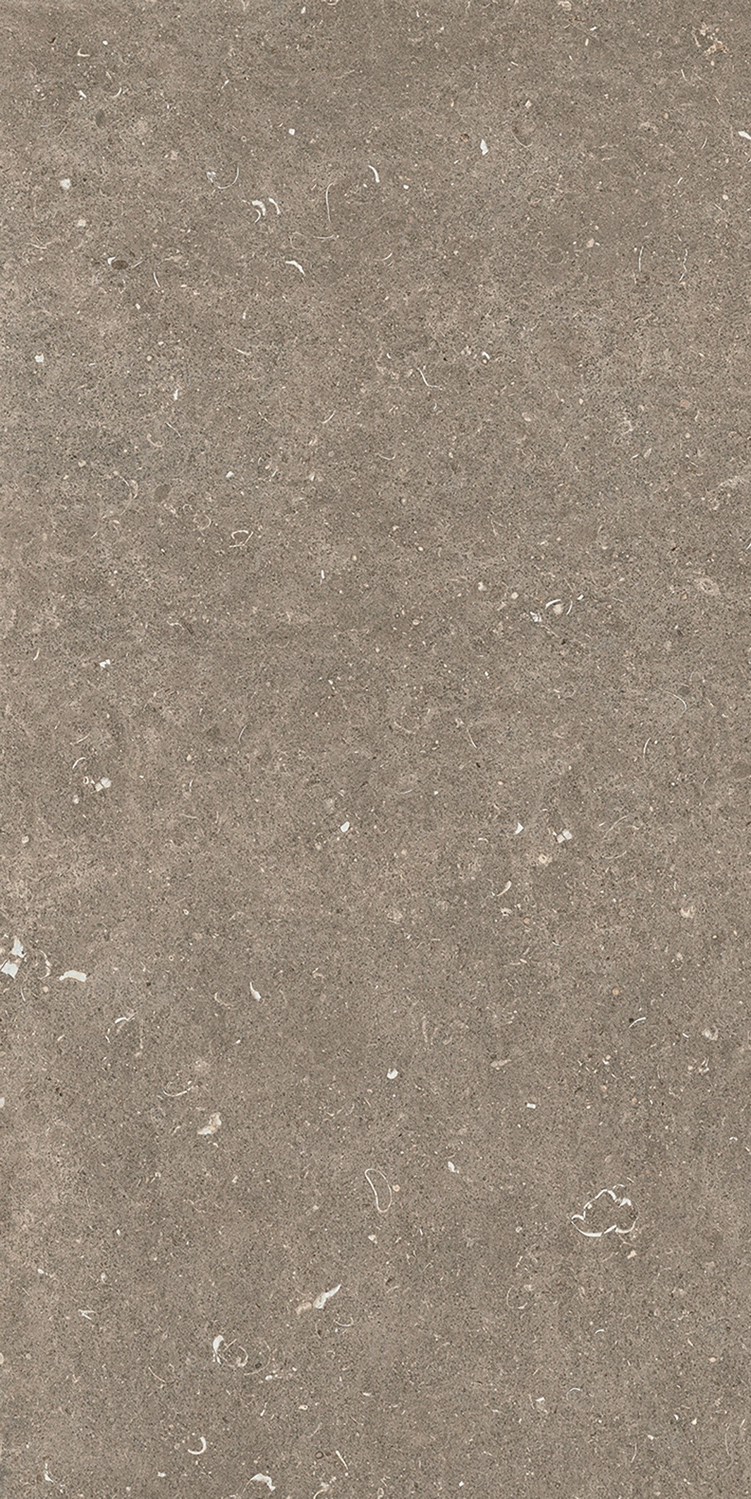 785576 На пол Rinascenza Arena Pietra Matte 6mm 60x120