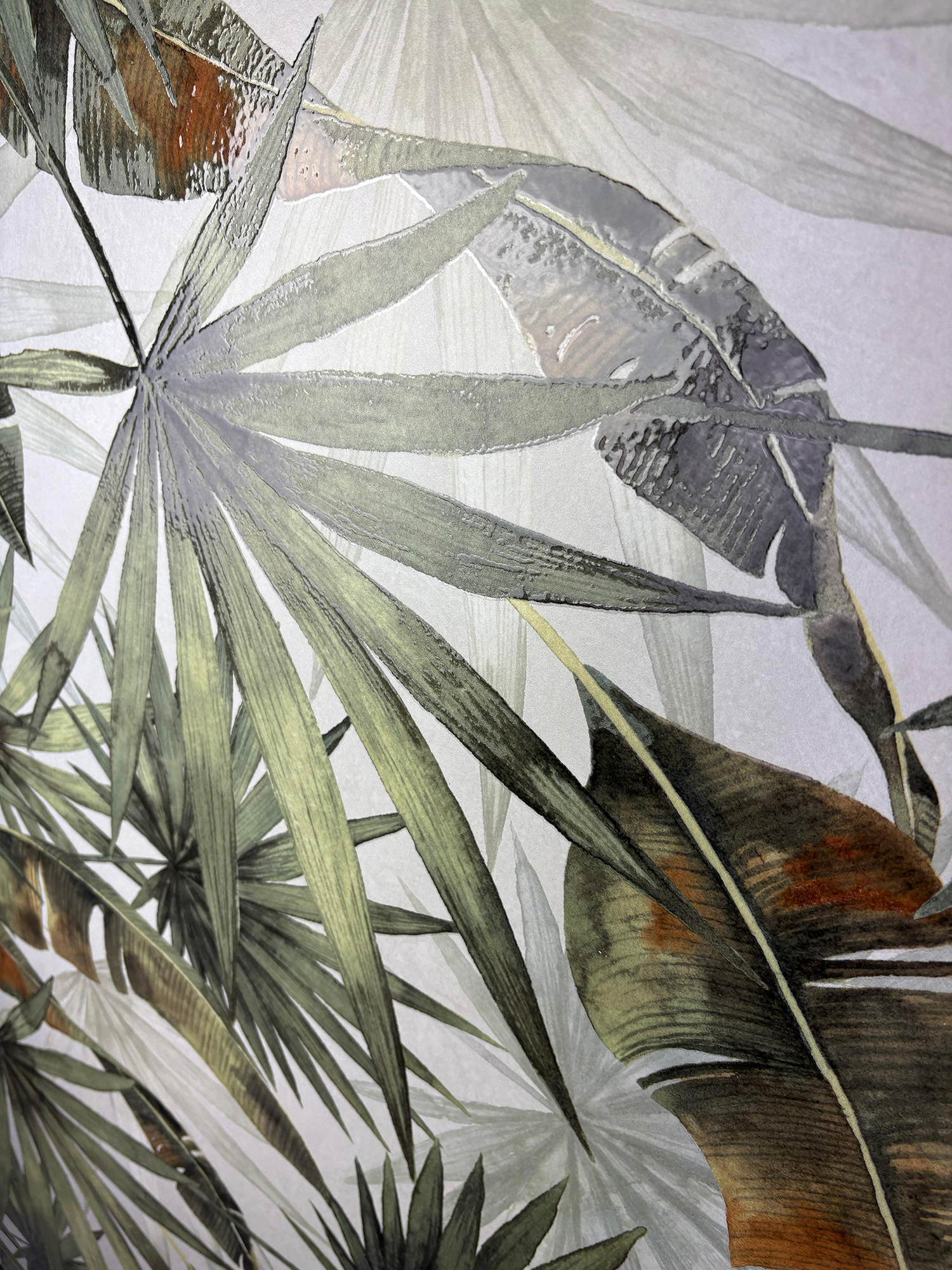 Creanza Bierzo - фото 4