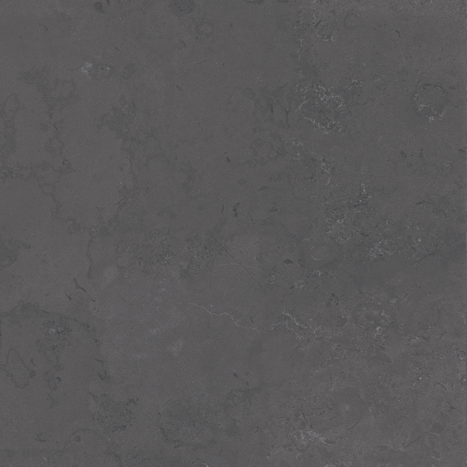 DD640800R На пол Про Лаймстоун Про Лаймстоун Серый Темный Натуральный Обрезной 60х60 - фото 5