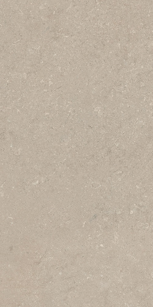 780972 На пол Authentic Luxe Stone Chablis Matte Leather 60x120