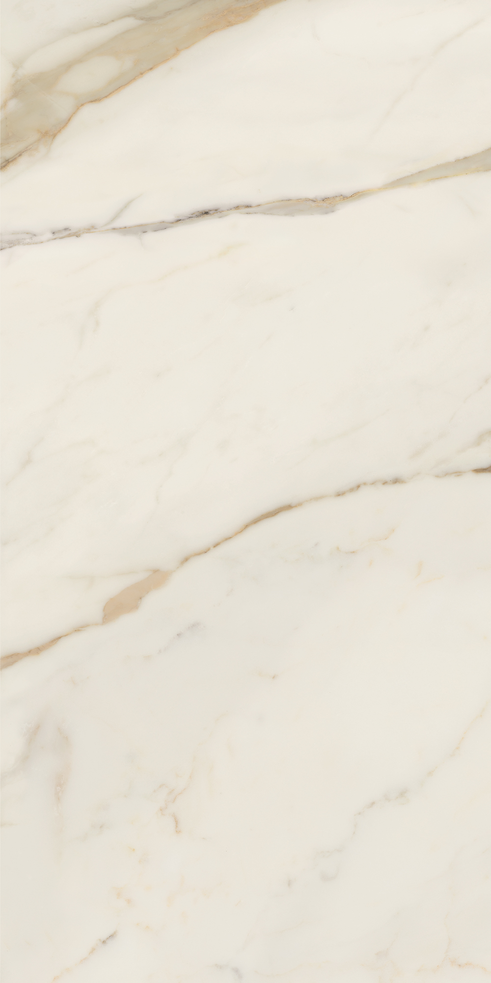 AGB0 На пол Anima Futura Golden White Rt. 120x60 - фото 3