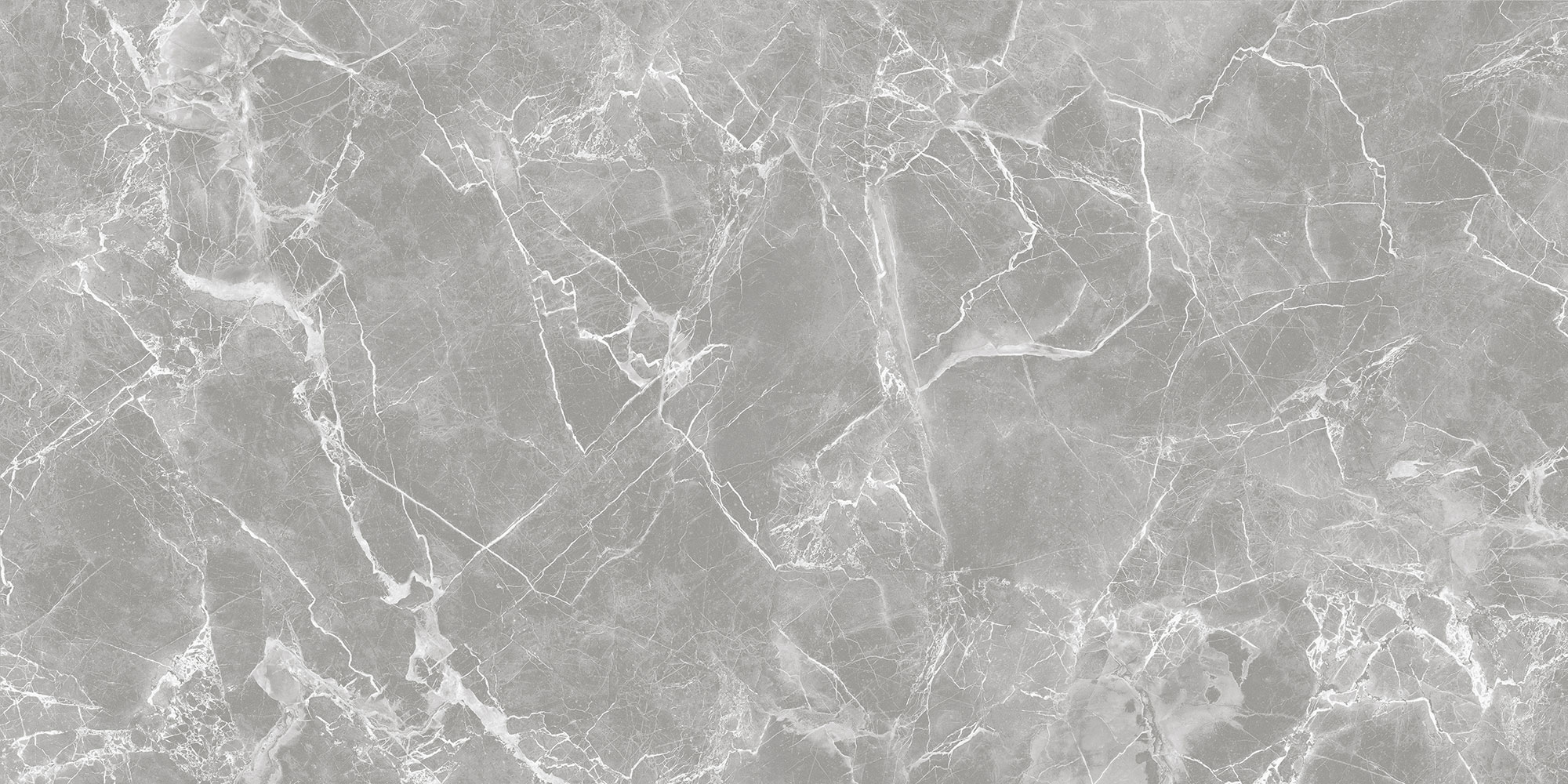 GT120601301PR На пол Solo GT Серый полированный 60x120