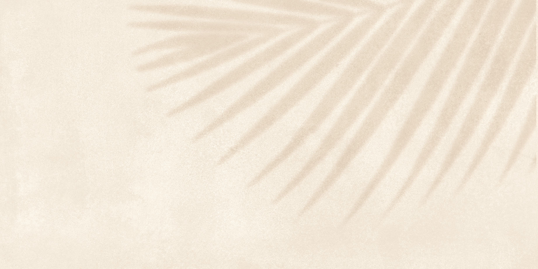 GT246VG На стену Dominica Бежевый пальма 30x60 - фото 2