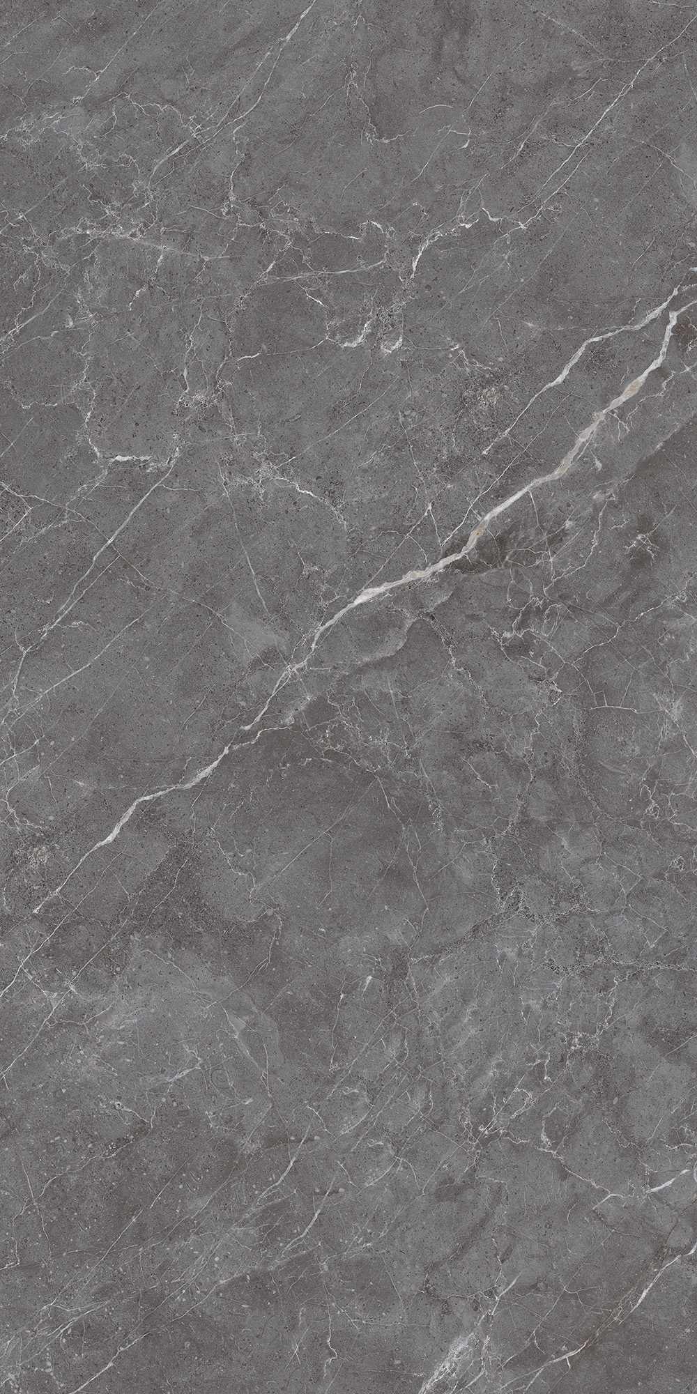 CL4003-A На пол Esperia Grigio Carving Lappato 60x120 - фото 6