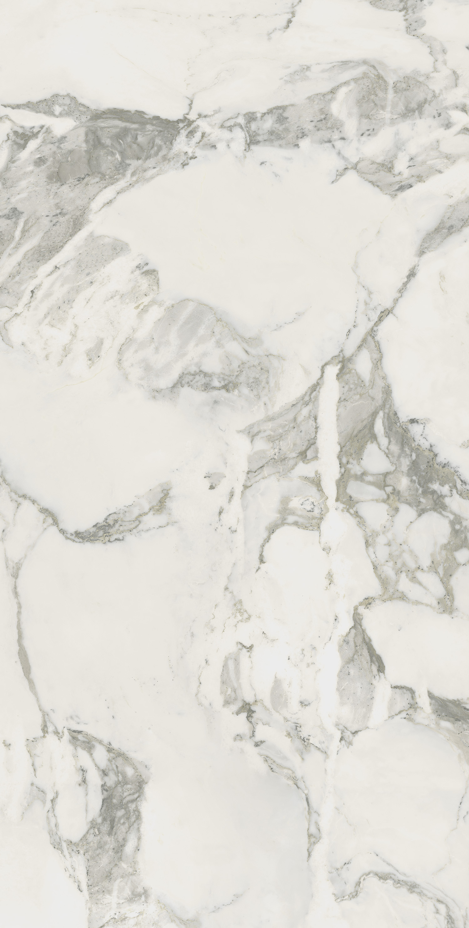 610010002746 На пол Michelangelo Колд 60x120