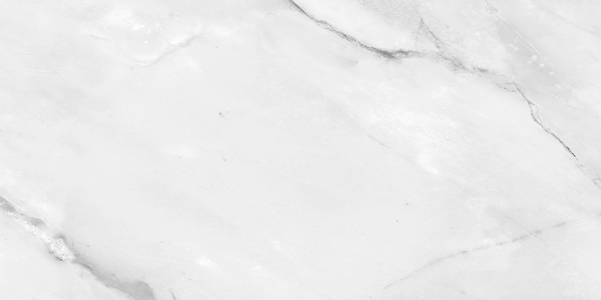 PRO 1187G На пол Aquarelle Grey Gloss 1200x600 - фото 3