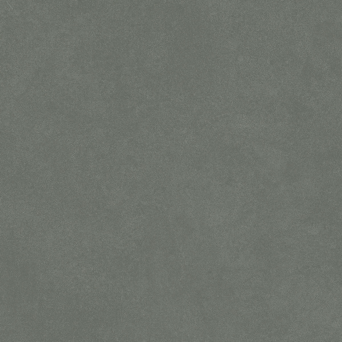 На пол Monotone Juniper Matt 20x20 - фото 2