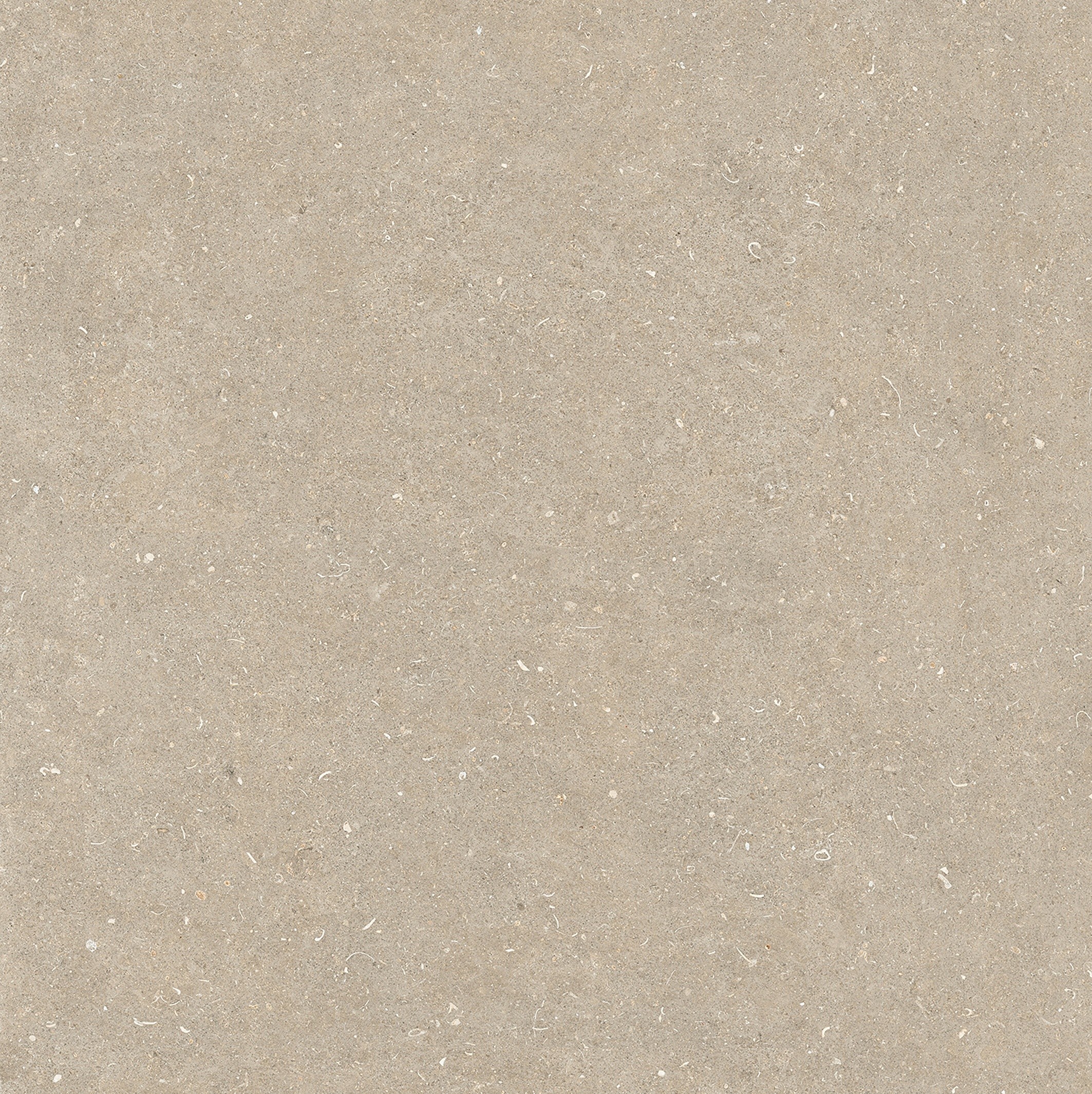 785579 На пол Rinascenza Arena Conchiglia Matte 6mm 120x120 - фото 5