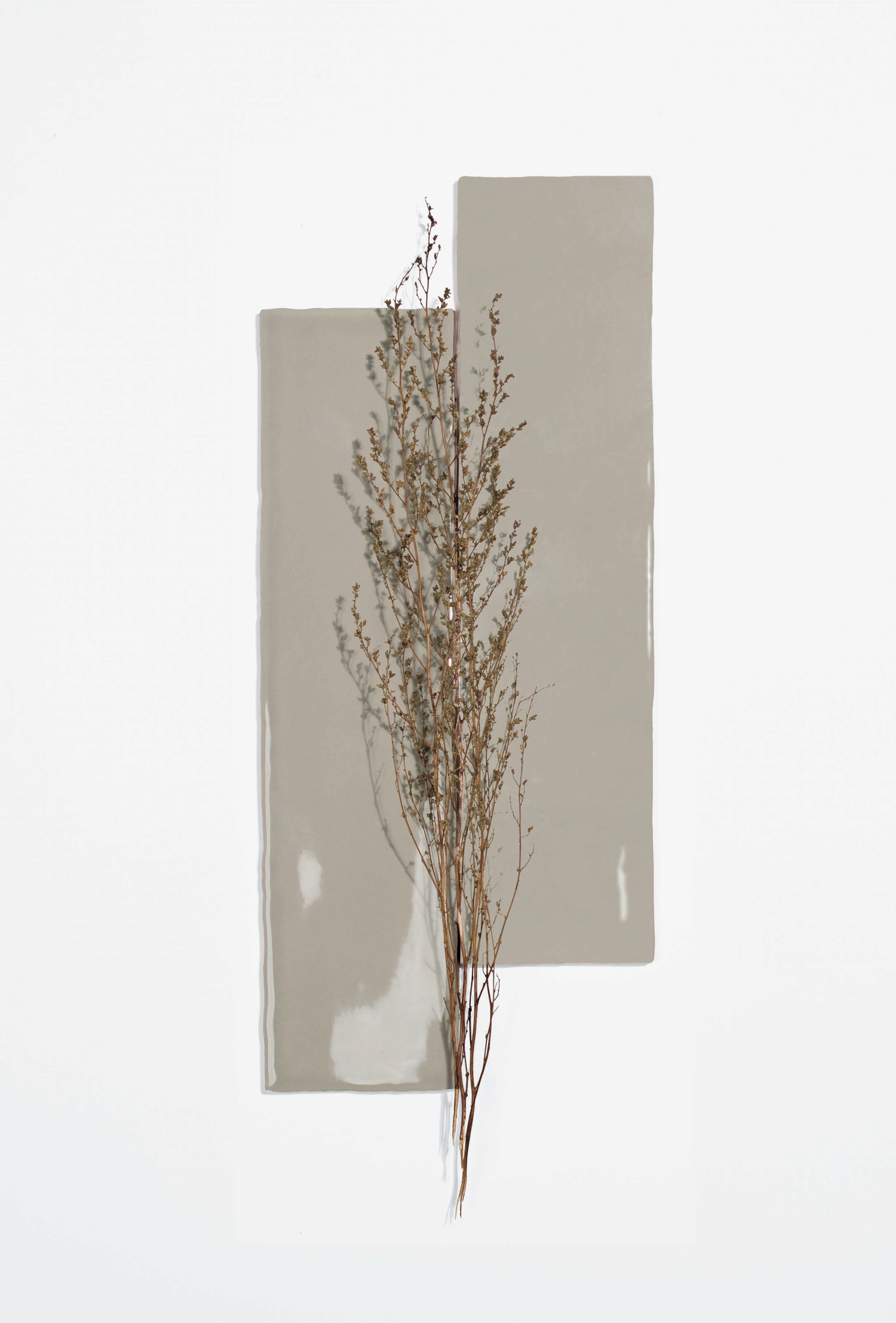 DNA Tiles Flash - фото 23