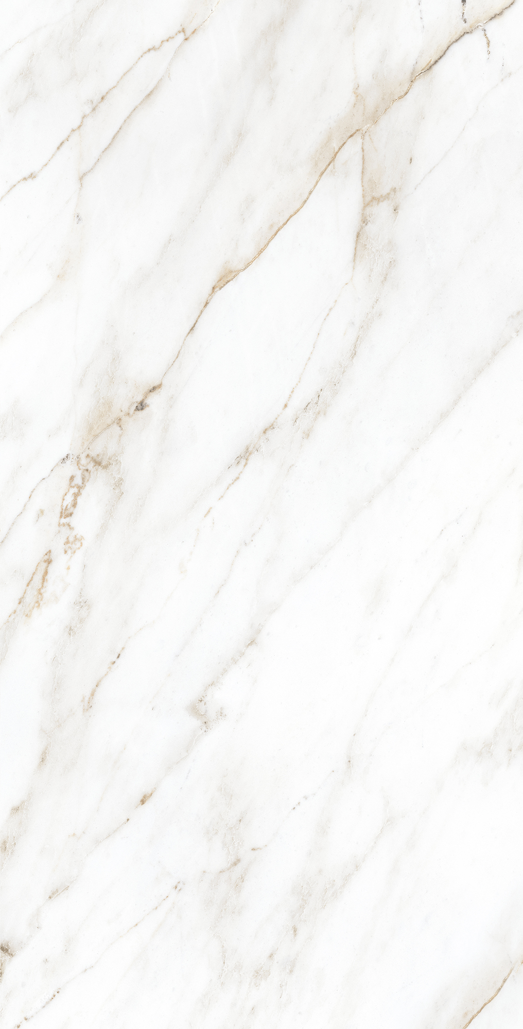 CP4004-A На пол Selva Gold Carving Pro 60x120 - фото 2