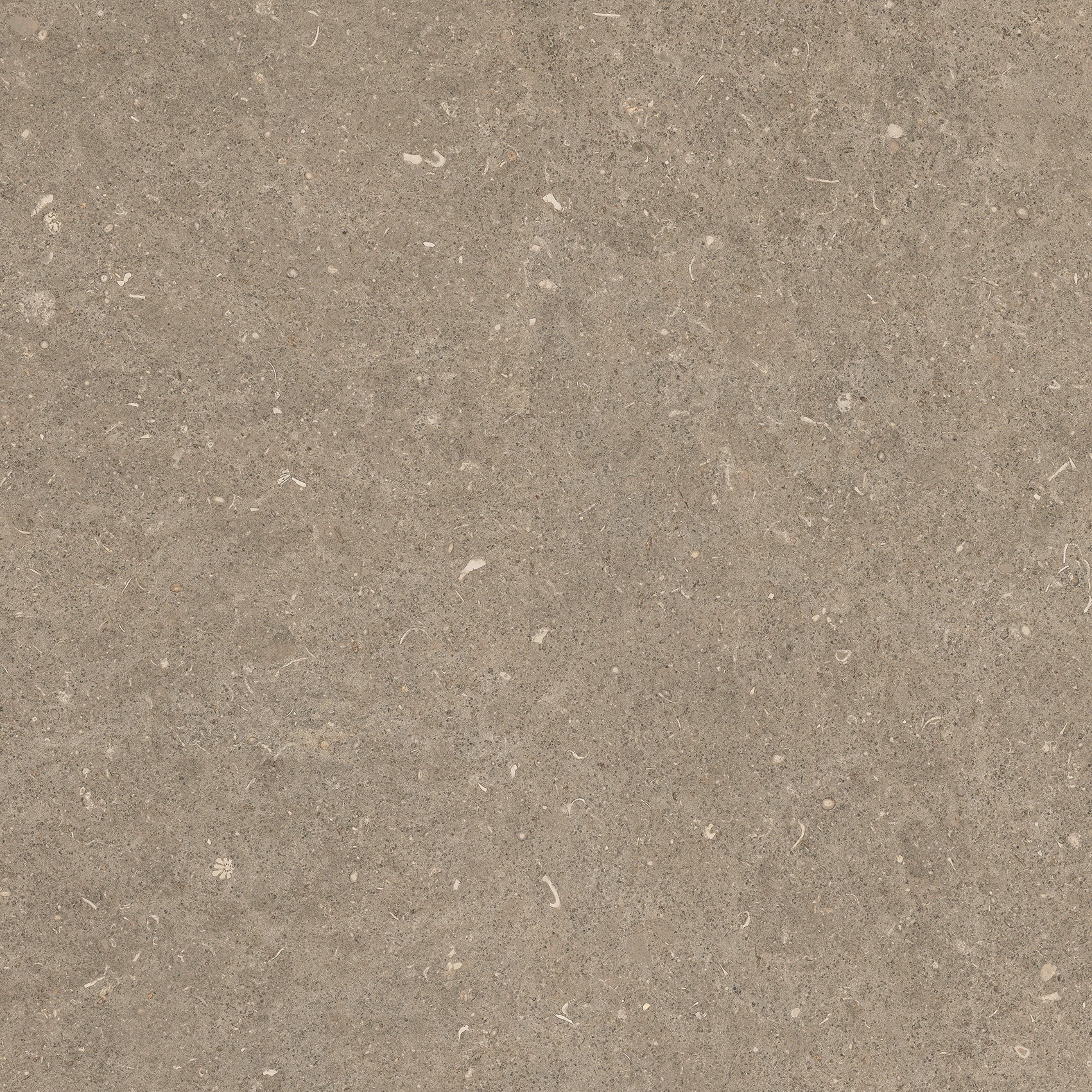 785486 На пол Rinascenza Arena Pietra Matte 60x60 - фото 7
