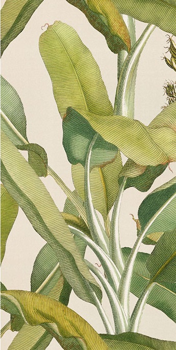 4100336 На стену Paper41 Pro Musa (2 mix) - фото 3