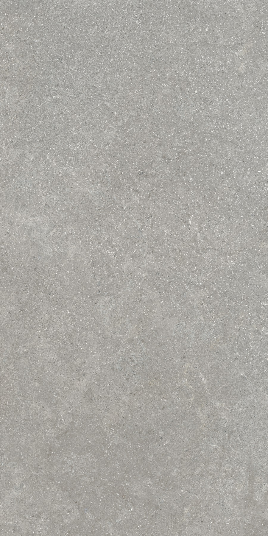 K948634R0001VTER На пол SandStone Серый Матовый R10A Ректификат 60х120 - фото 6