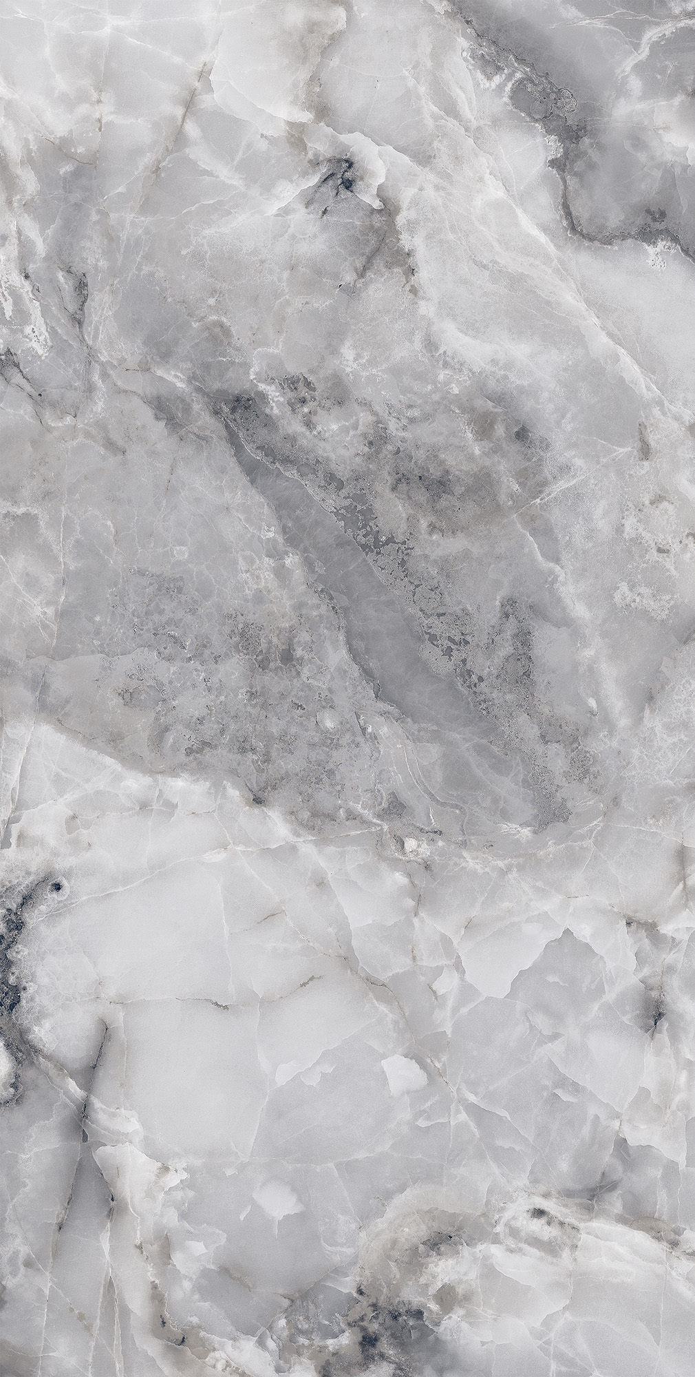 FP1026-A На пол Invisible Onyx Grey Full Polished 60x120 - фото 3