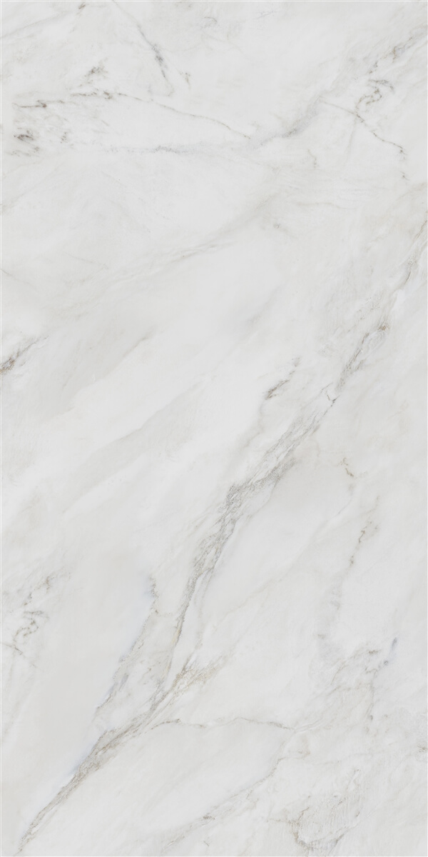 P19809 На пол Anderson White Polish Rec 60x120 - фото 7