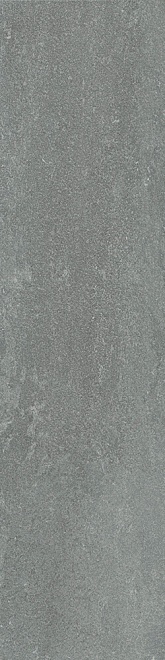 DD520100R20 Напольный Про Нордик Серый 30*119.5