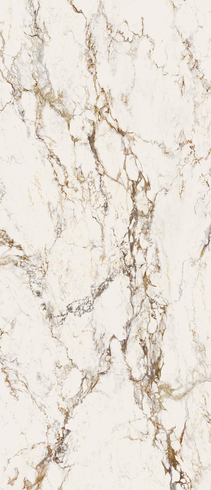 EB1A На пол Interno4 Breccia Tortona Lap Rt 120x278 - фото 4