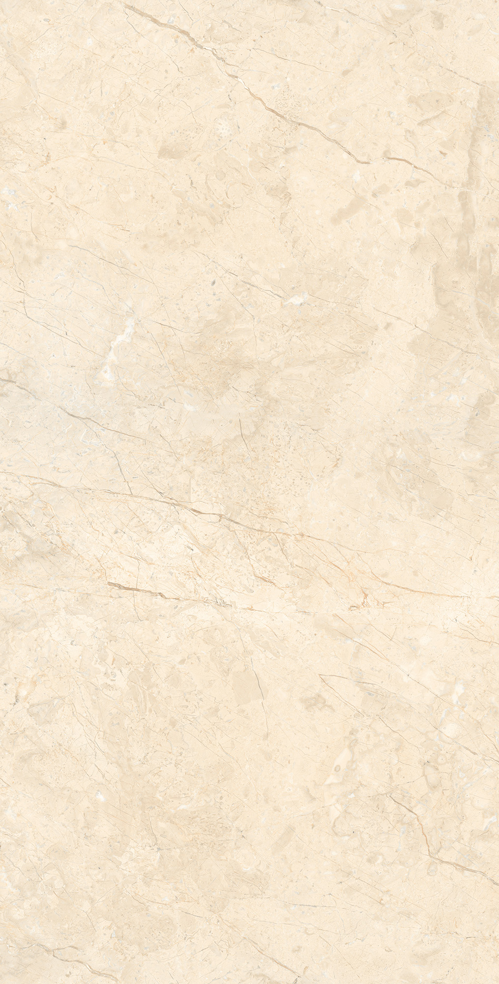 RT7016-A На пол Marcus Cremano Matt Rustic 60x120 - фото 5