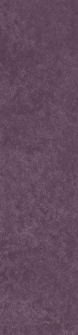 На стену Spectra Scs Wine 5.8х25