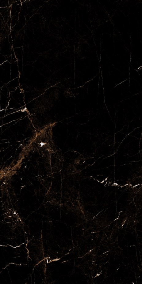 389 На пол Marble 5.5mm Tropic Black 60x120 - фото 2