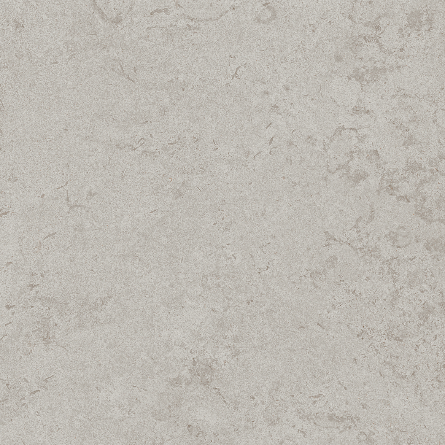 DD641020R На пол Про Лаймстоун Серый светлый натуральный 9мм 60х60 - фото 2