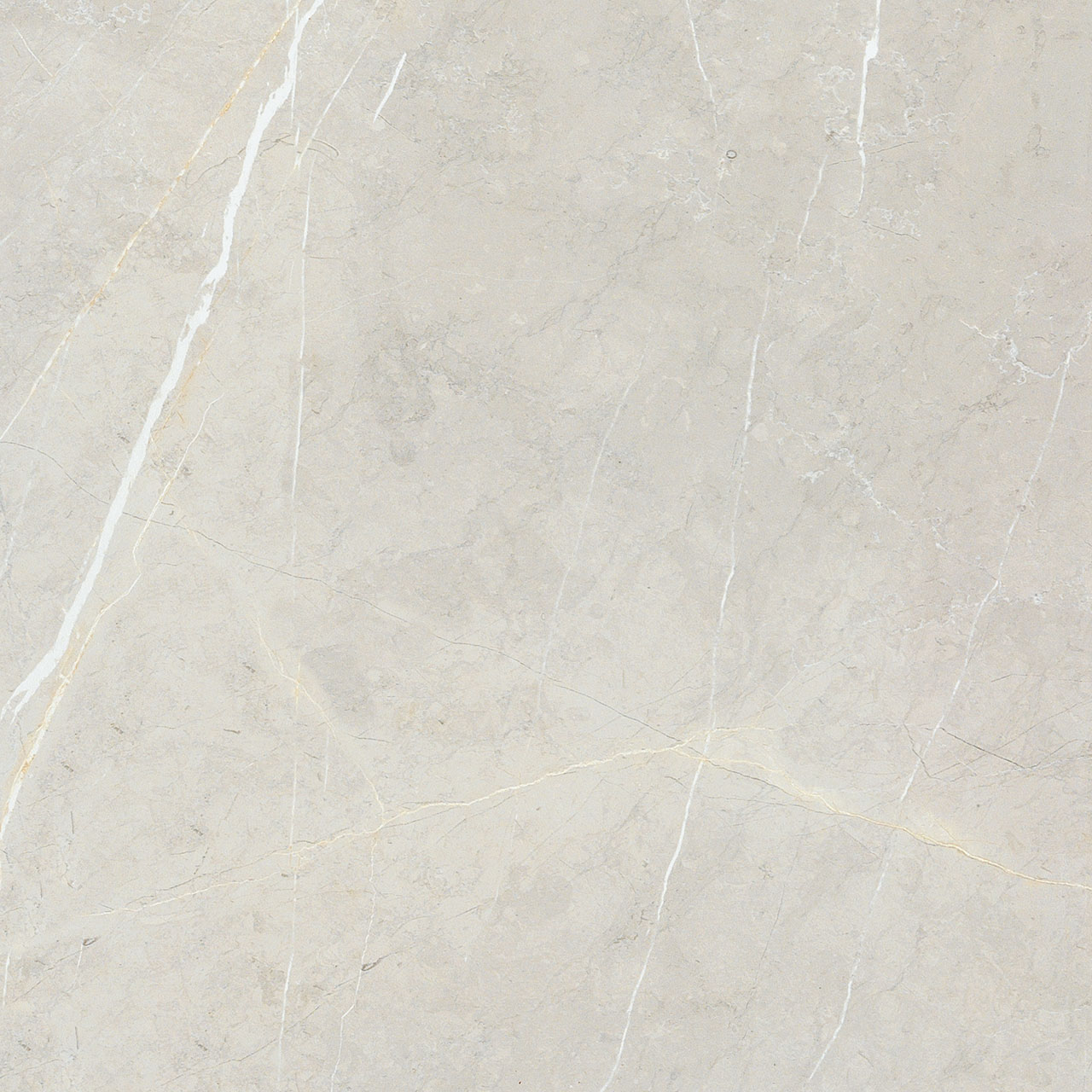 BB6NTT9101P На пол Bright And Shiny BB6NTT9101P - фото 7