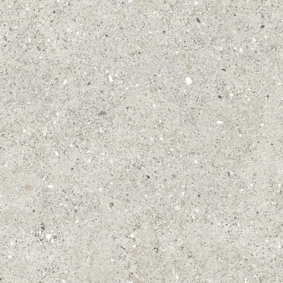 CR6060G0461R На пол Granito Grigio серый матовый 59.5х59.5 - фото 2