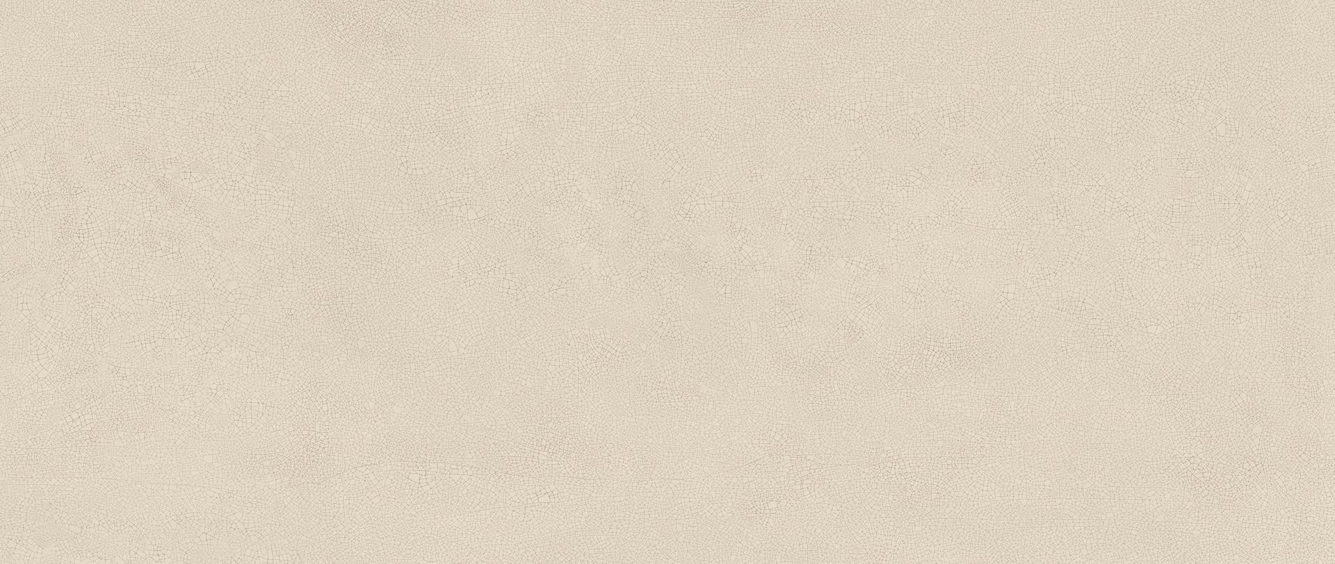HHIX На стену Vivia Crelis Shell Lucido 50x120