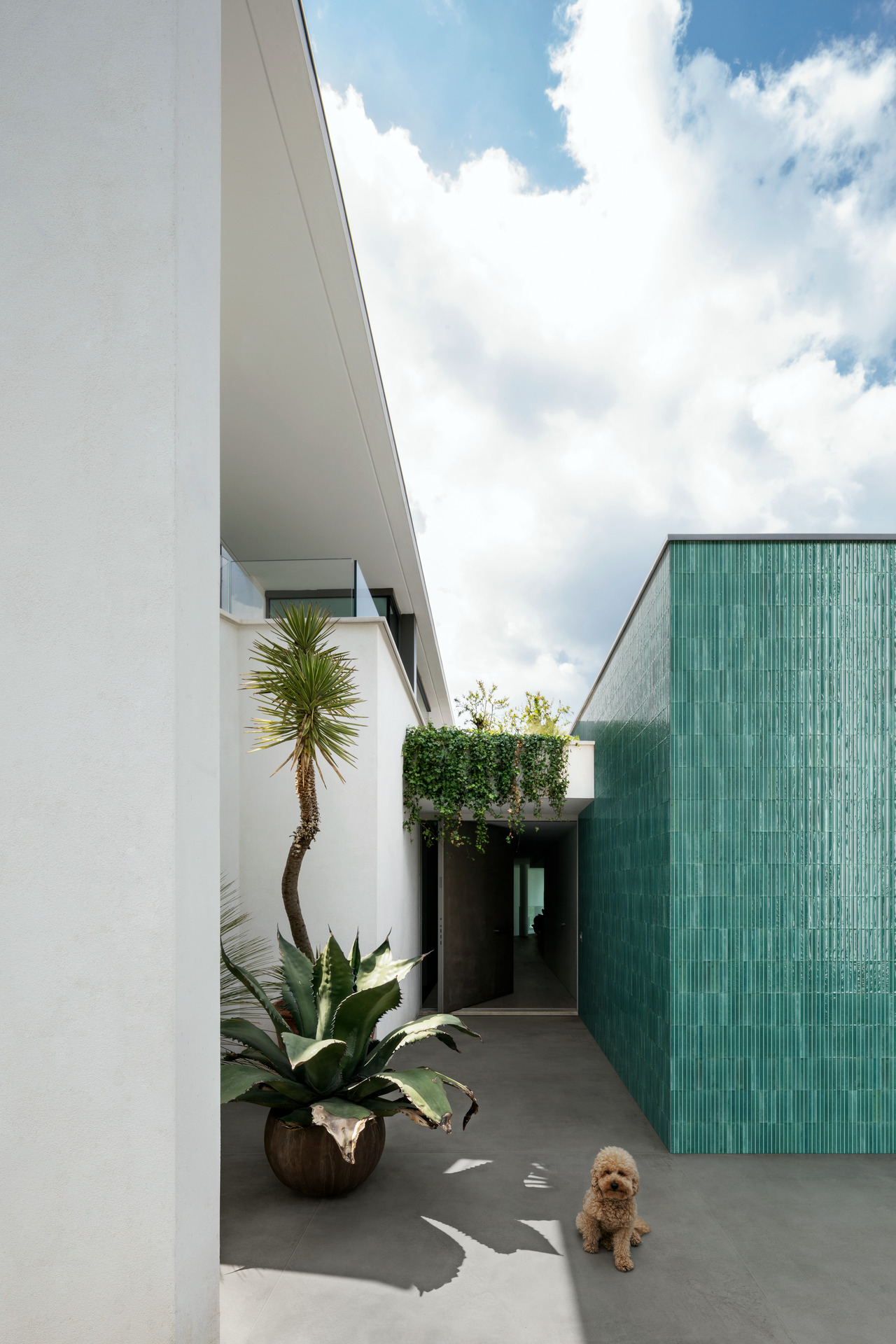 MP8X На пол Lume Ocean Lux 6х24 - фото 13