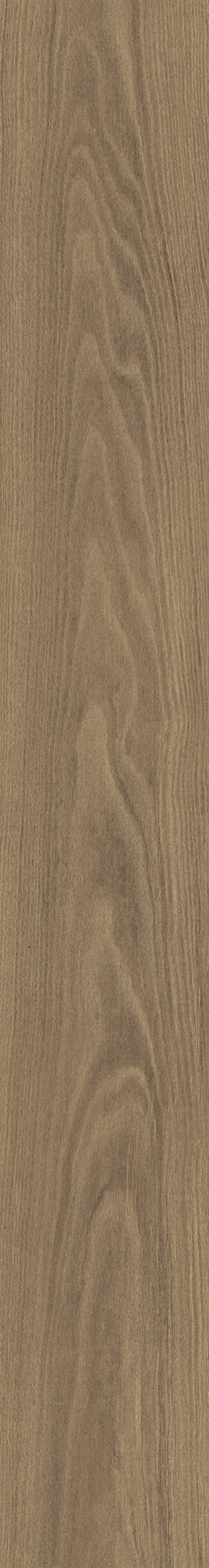 DOUGLAS6 2015 На пол Aesthetica DOUGLAS6 2015 20x150