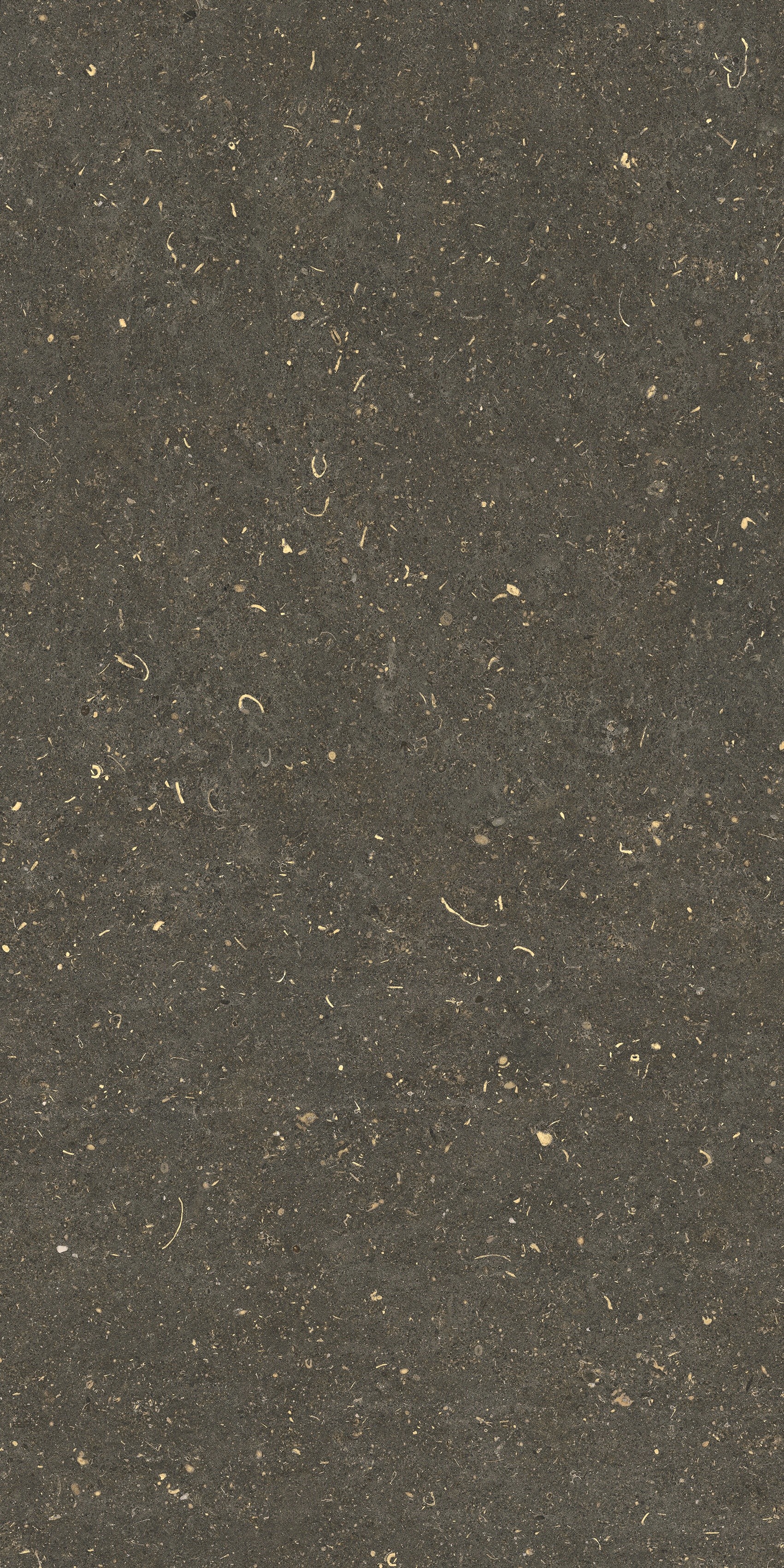 785483 На пол Rinascenza Arena Platino Matte 60x120 - фото 7