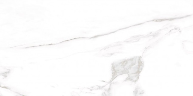 GRS01-19 На пол Ellora Lotus 60x120 - фото 4