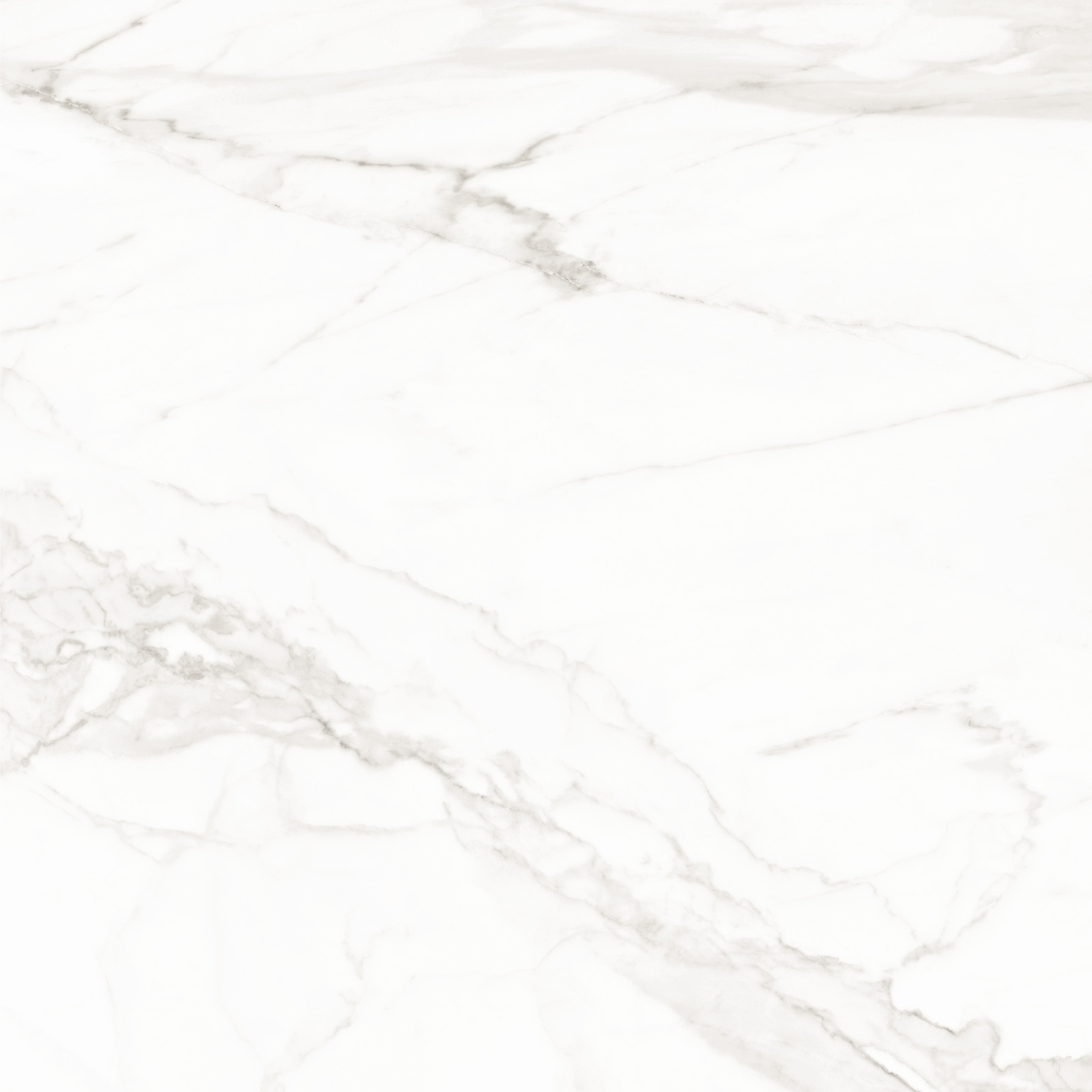 8080TRL00M На пол Trend Line Calacatta матовый 800x800 - фото 7