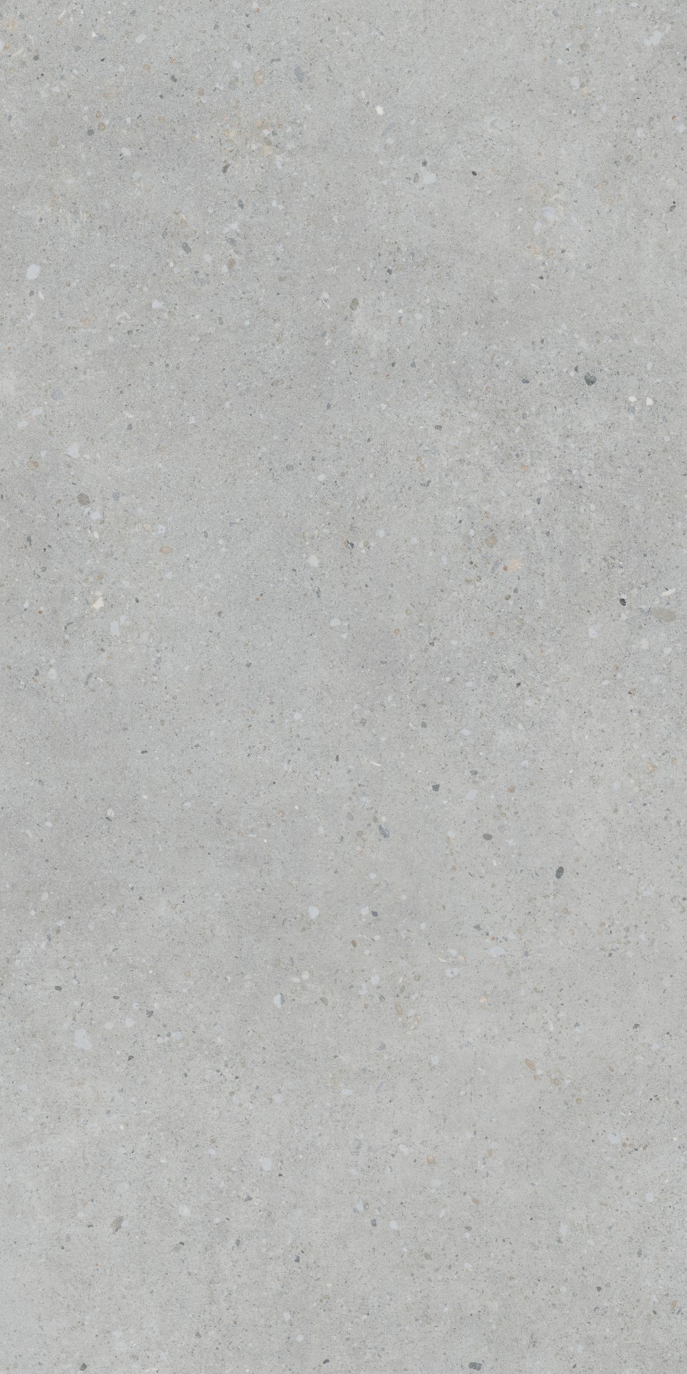 K947893R0001VTER На пол FlakeCement Серый Матовый 60x120 - фото 6