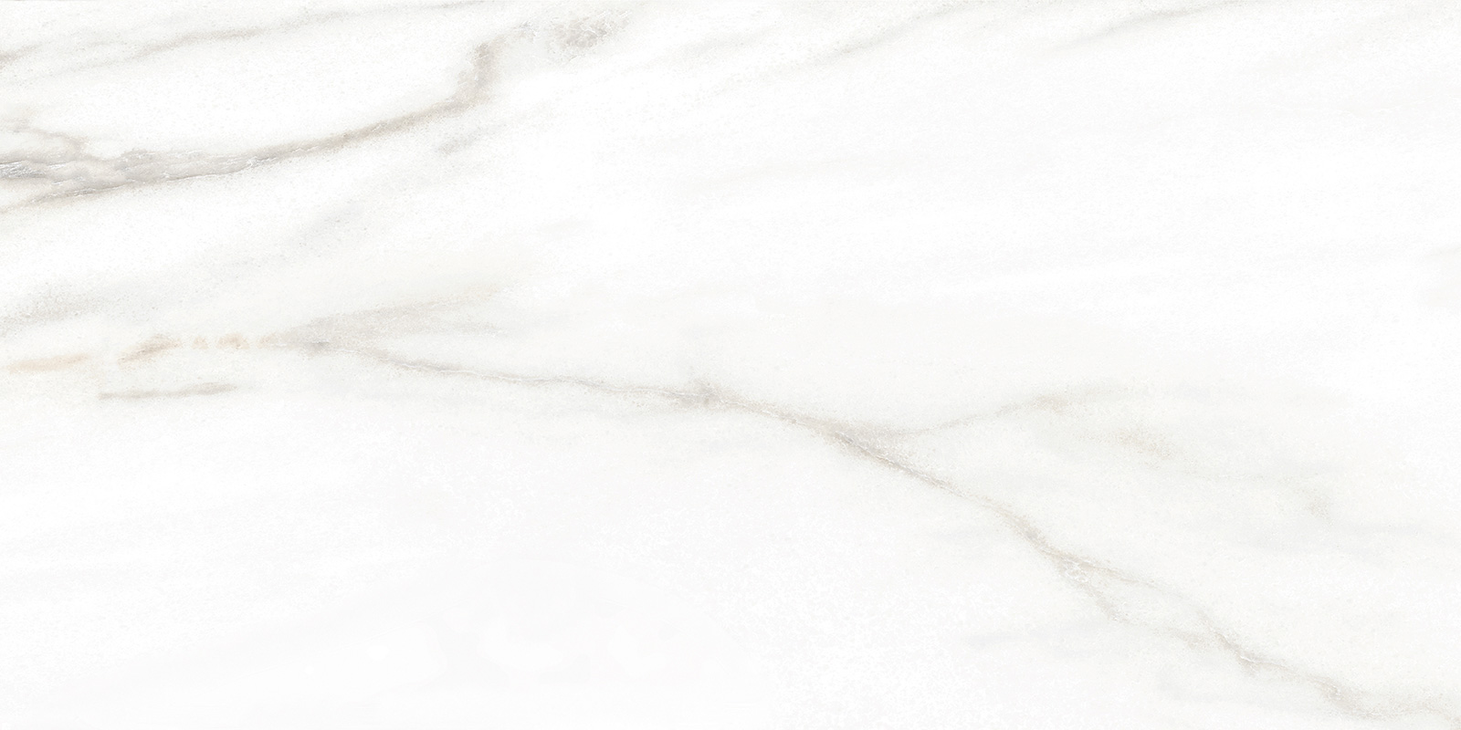 TWU2550BOH07 На стену Euphoria 04 249x500x7 - фото 8