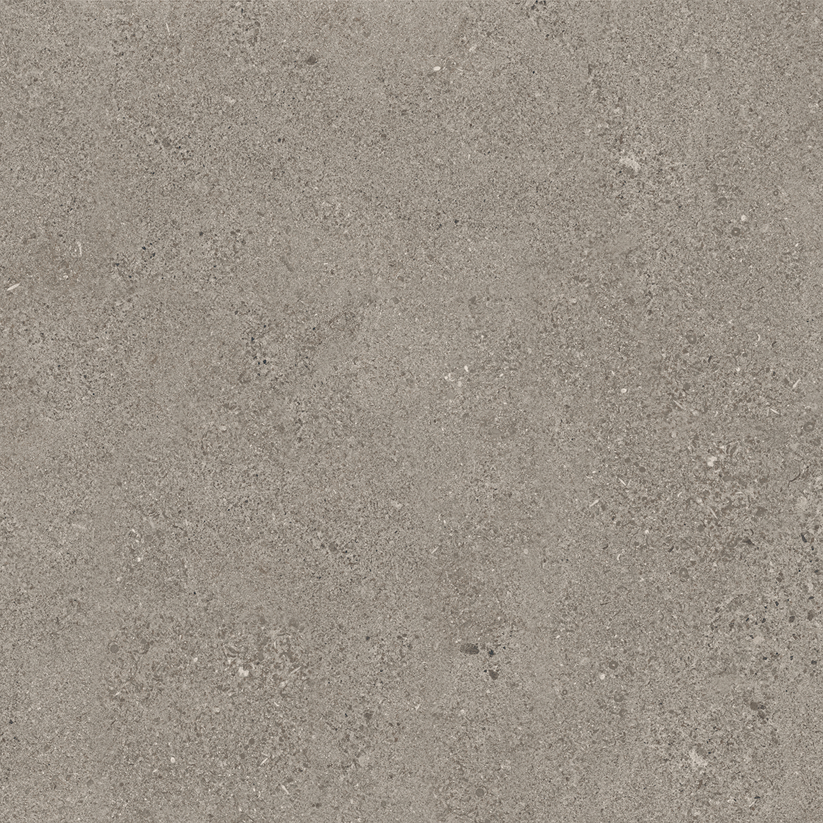 GSR0208 На пол Antibs Бежевый темный граниль 60х60 - фото 3