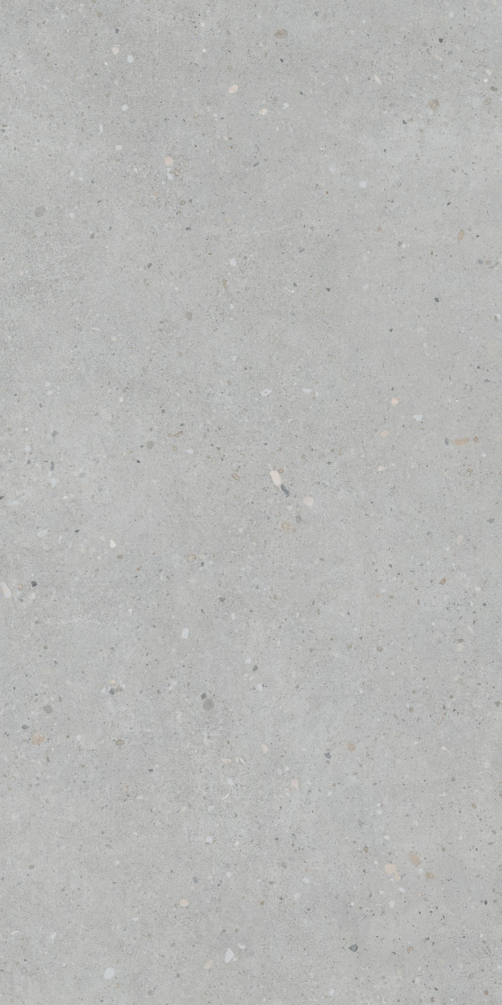 K947893R0001VTER На пол FlakeCement Серый Матовый 60x120 - фото 2