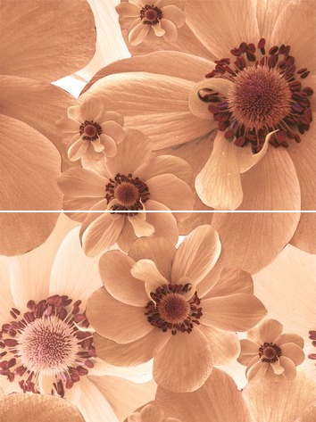 P2-3D124 Панно Pastel Dec. Оранжевый Цветы 30х40 из 2-х пл.