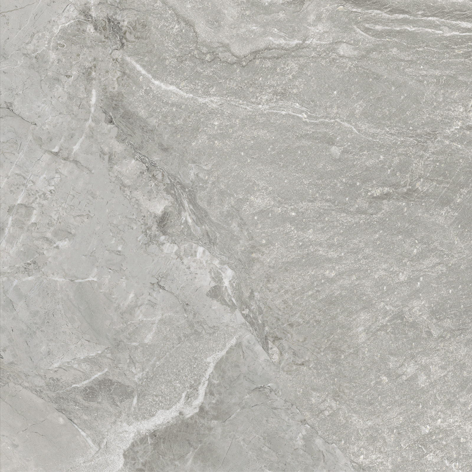 D60259M На пол Wild Light матовый 600x600x9.5 - фото 12